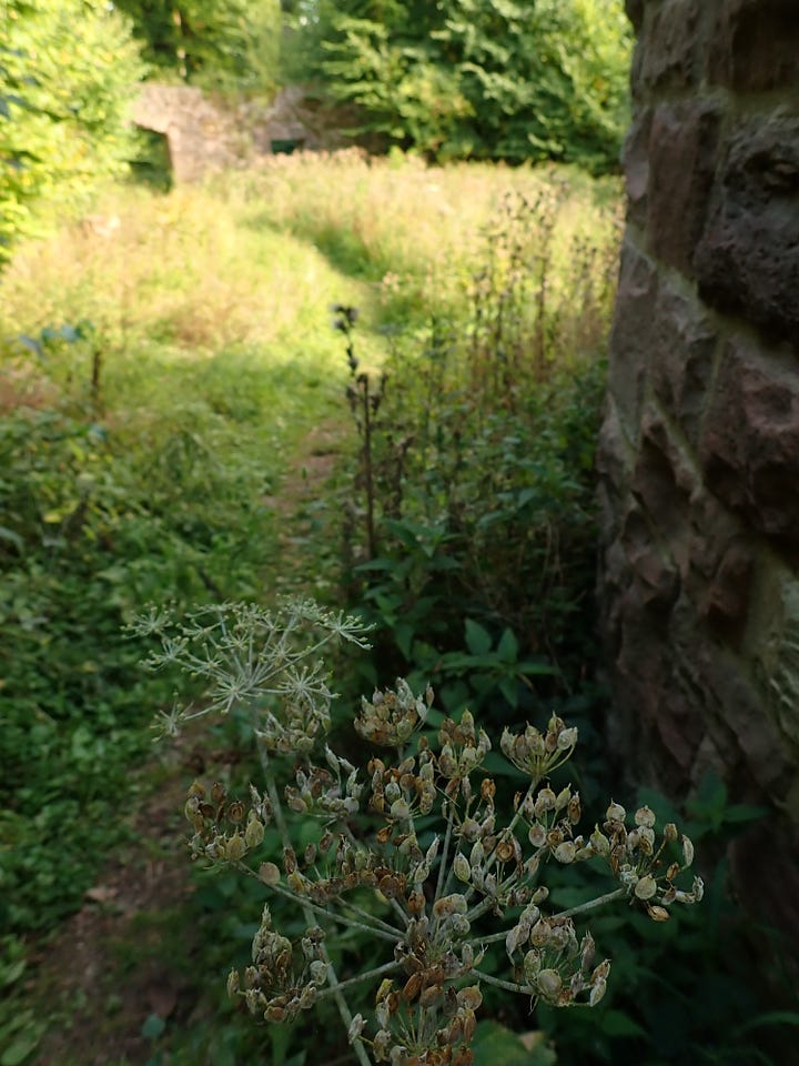 Castle courtyard and nature