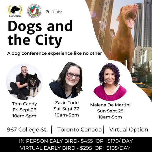 The flyer says Tom Candy is on Fri Sept 26, Zazie Todd on Sat Sep 27, and Malena DeMartini on Sun Sep 28, all from 10am until 5pm. There's also a giant dog in a city, Godzilla-like.