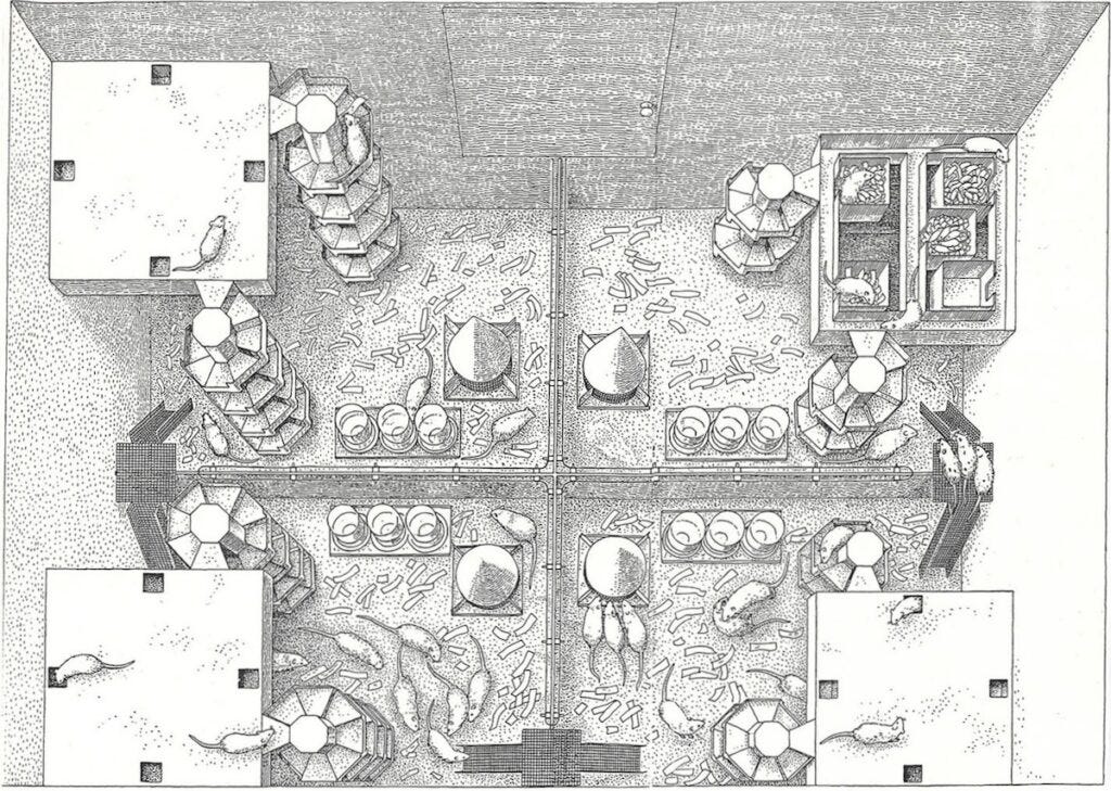 Mouse Heaven or Mouse Hell? | Science History Institute