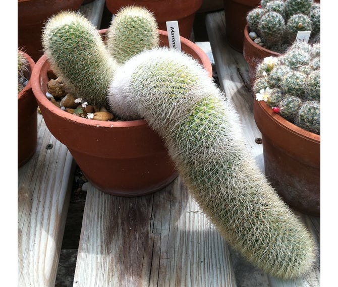 image 7.png