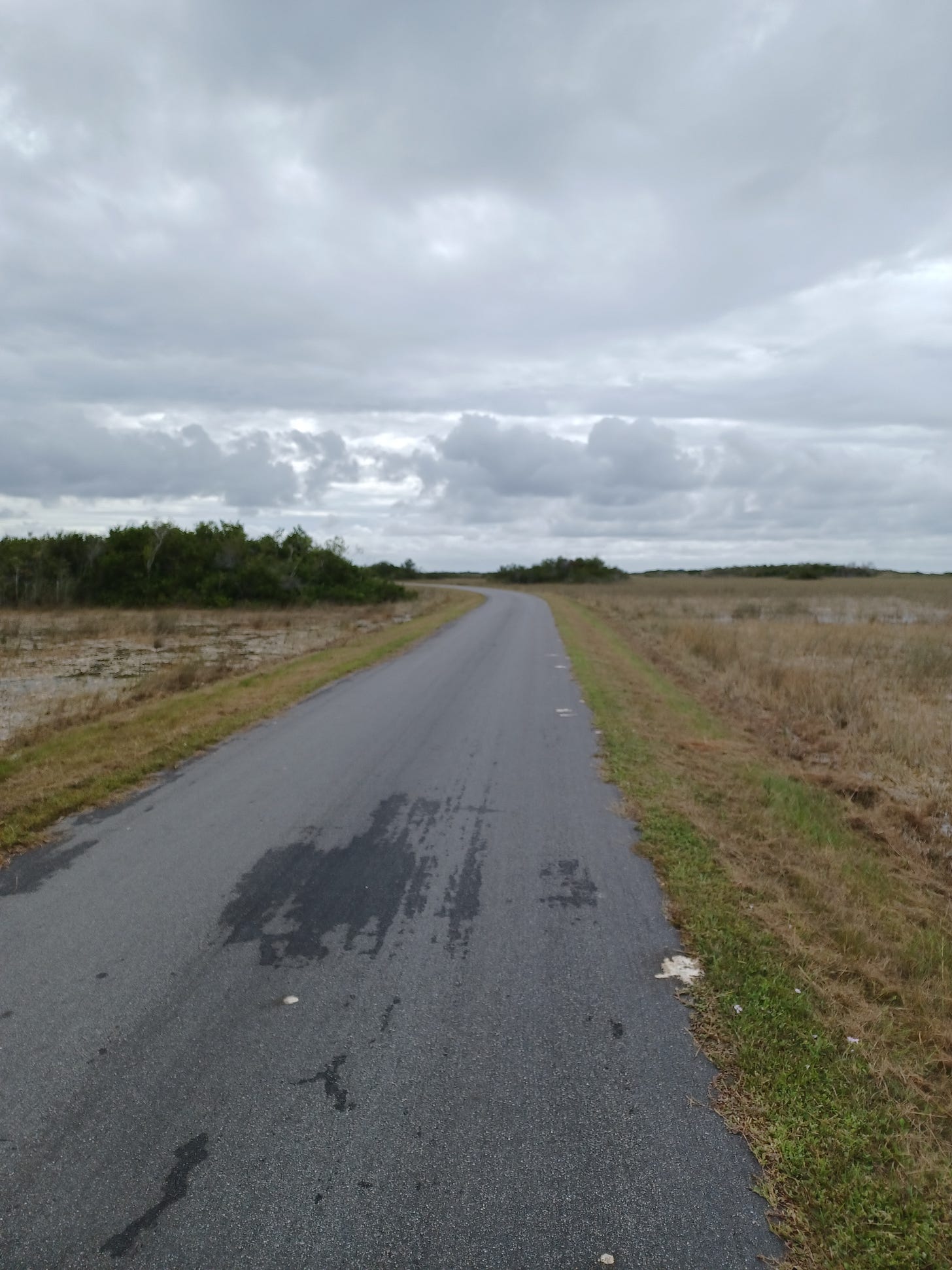 Everglades National Park, December 28, 2024