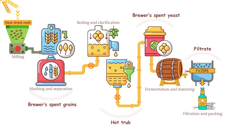 A diagram showing the stages of beer brewing -- and flagging four sources of waste: brewer's spent grains, hot trub, brewer's spent yeast and filtrate.