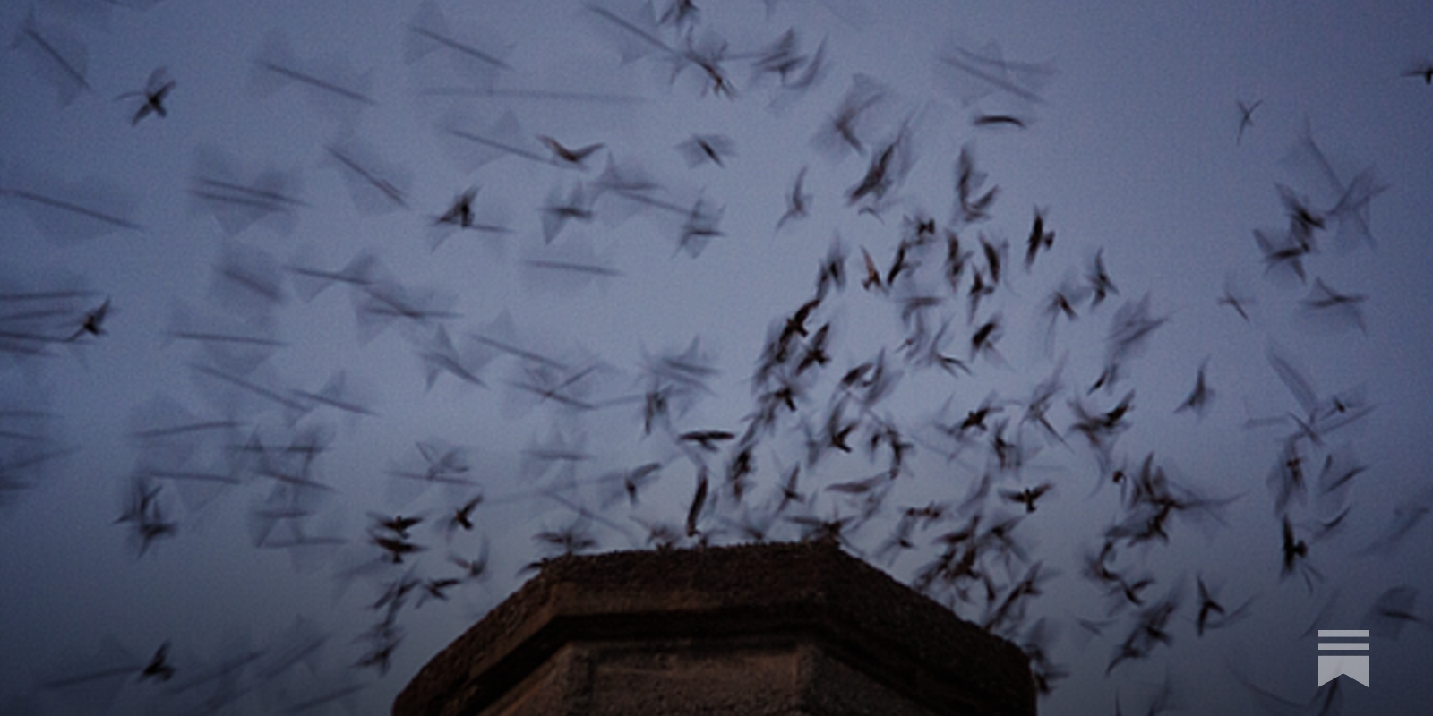 Tiempo de vencejos - by Antonio Martínez Ron, image size:1600x800