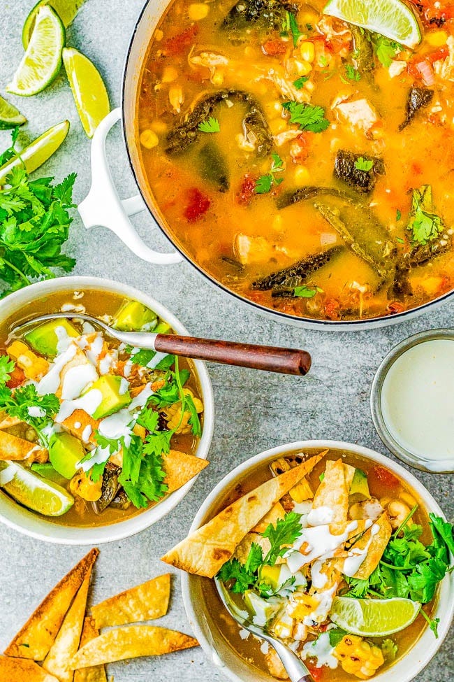 Chicken Poblano Tortilla Soup - All the familiar flavors of chicken tortilla soup but with the addition of roasted poblanos and tomatillos to give extra heartiness and depth of flavor! An EASY soup, ready in 30 minutes, and a guaranteed family favorite to put on rotation especially for busy weeknights! Chicken Poblano Tortilla Soup - All the familiar flavors of chicken tortilla soup but with the addition of roasted poblanos and tomatillos to give extra heartiness and depth of flavor! An EASY soup, ready in 30 minutes, and a guaranteed family favorite to put on rotation especially for busy weeknights!