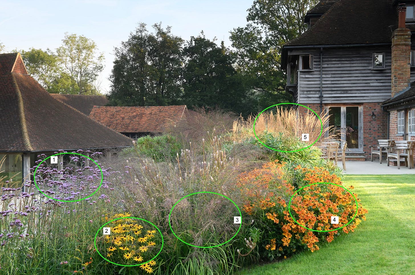 cottage garden planting