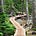 Tranquil Trekker's avatar