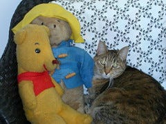 cocofriends