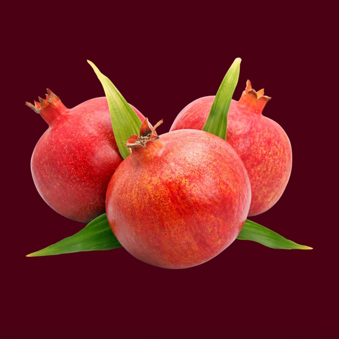 ｡･ﾟﾟ･ fate ･ﾟﾟ･｡