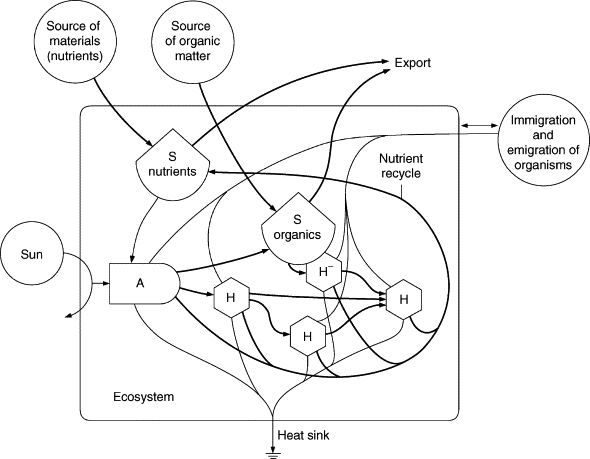 Tansley - an overview | ScienceDirect Topics