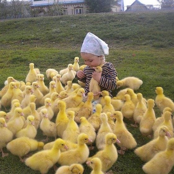 Im not sure if im good at this.