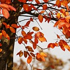 Nottingham October events — 10 things to do this month