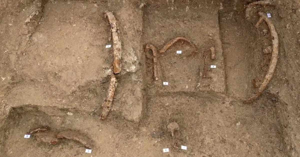 Picene Prince's Chariot Tomb Unearthed on Italy's Conero Coast