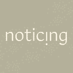 Noticing