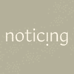 Noticing