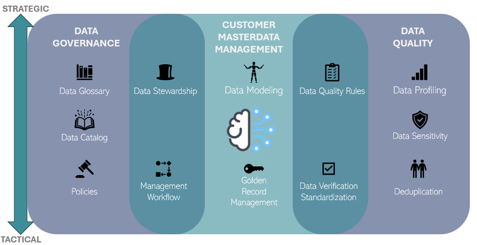 The intersection of DG CMDM and DQ Infographic