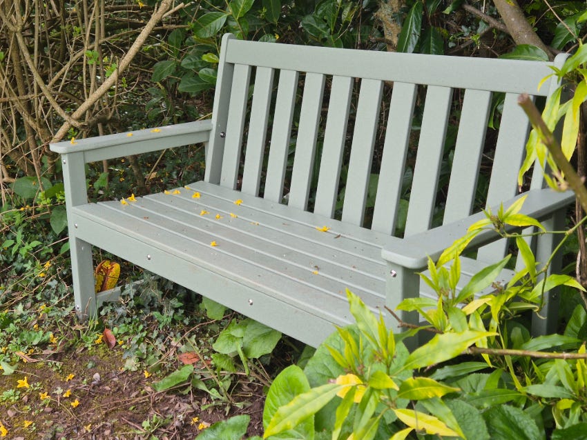 Seat at Veddw Garden