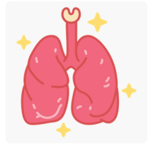 Organ Vitality Detox