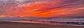 David Stone - The Umwelt Gazette