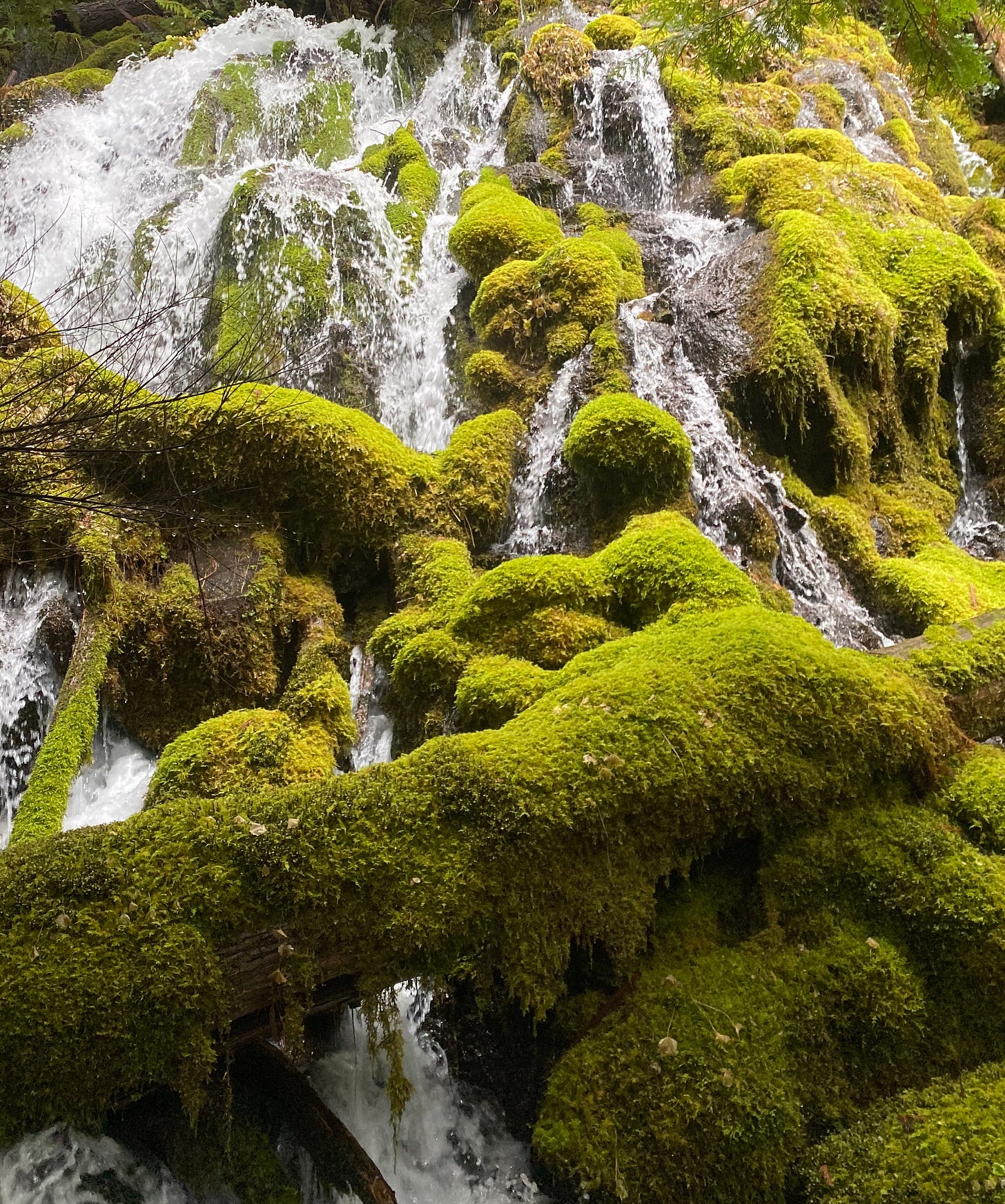 Researchers find vast water supply beneath Central Oregon Cascades - OPB