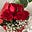 Joanne M B's avatar