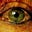 Susan Whelan's avatar