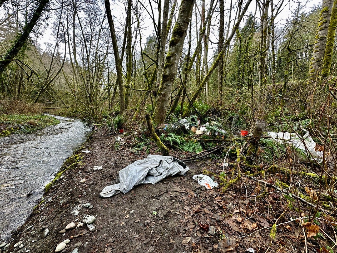 A river running through a forest
Description automatically generated A river running through a forest
Description automatically generated