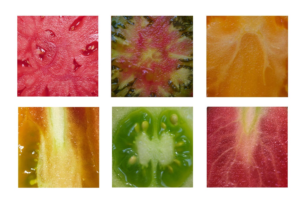 Peak season tomato flesh Peak season tomato flesh