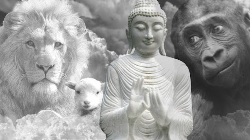 A provocative conceptual illustration depicting a human in a suit looking into a mirror and seeing a chimpanzee reflection, symbolizing the denial of evolutionary roots.