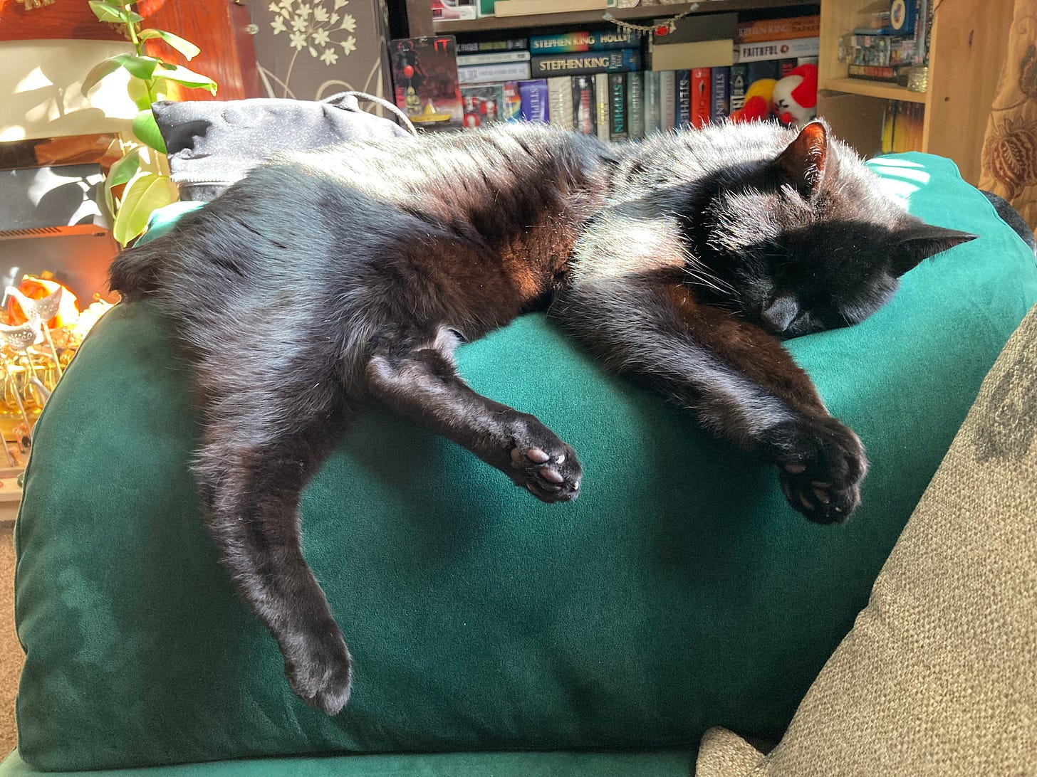 A black cat asleep on a sofa arm. 