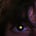 تيتَان.'s avatar