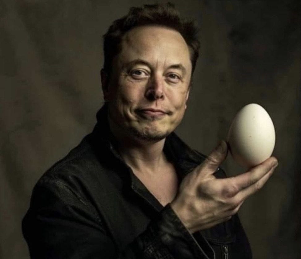 Elon Musk vs Moraes