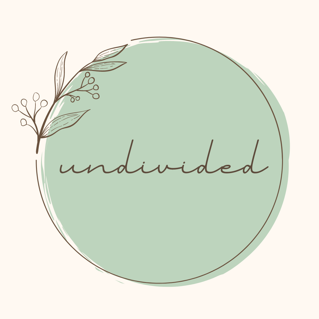 Substack profile picture for @undivided
