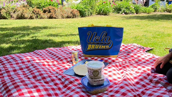 Picnic blanket, food, picnic basket, and cool UCLA Bruins bag