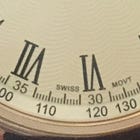 A Picnic of Shit Sandwiches