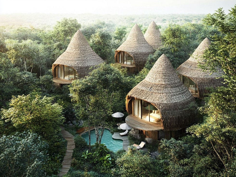 Landscape Designer in Dakar - SENEGAL