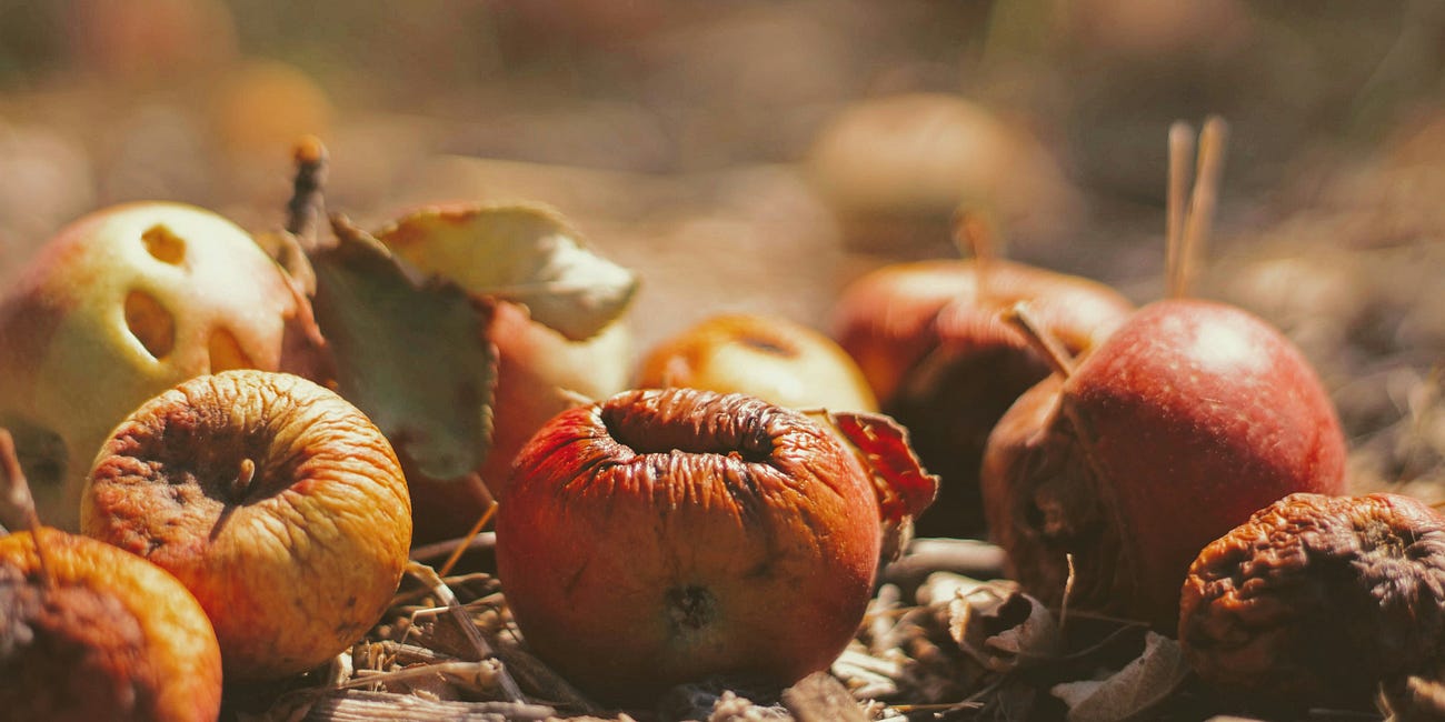 Is Your Financial Institution Creating Rot?