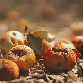  Is Your Financial Institution Creating Rot?