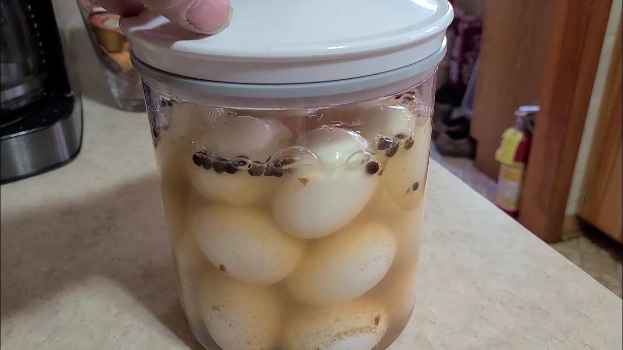 Vaccum Infused Pickled Eggs. A fun eggsperiment! - YouTube