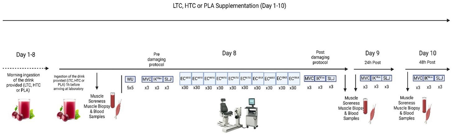 Participants ingested drinks on day 1-10. Muscle soreness, biopsy and blood sampling collected before, immediately after, 24 hours after and 48 hours after a pre-damaging protocol performed on day 8 using exercise equipment.