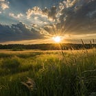Sunday Brain Mix: Seasonality in Genes, Locked in Stress, Complex Decision-Making in the Brain, What Humans Can do Better than AI