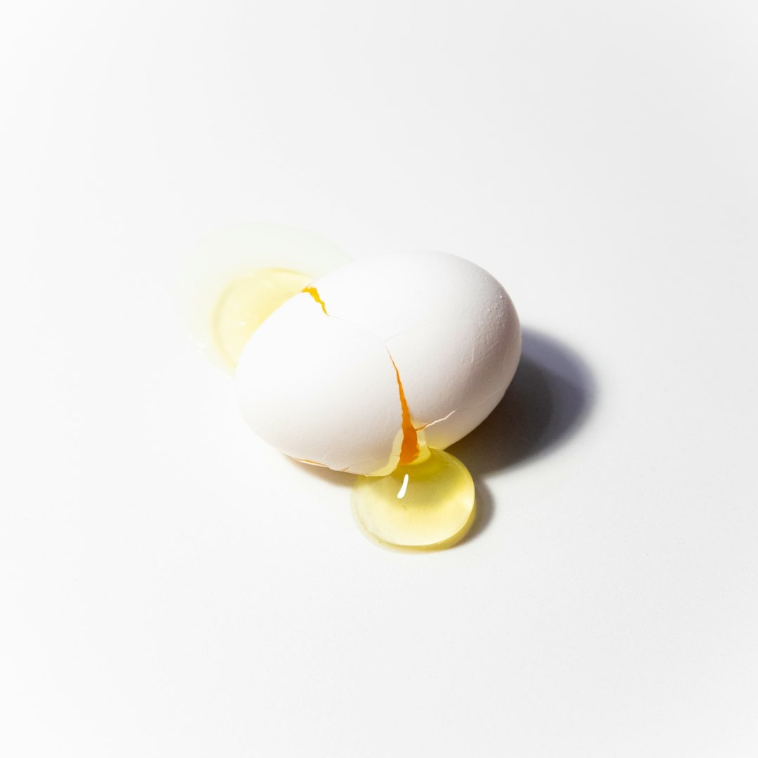 white egg on white surface white egg on white surface