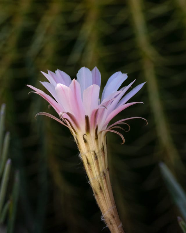 20250723-misc-185-Edit.jpg 20250723-misc-185-Edit.jpg