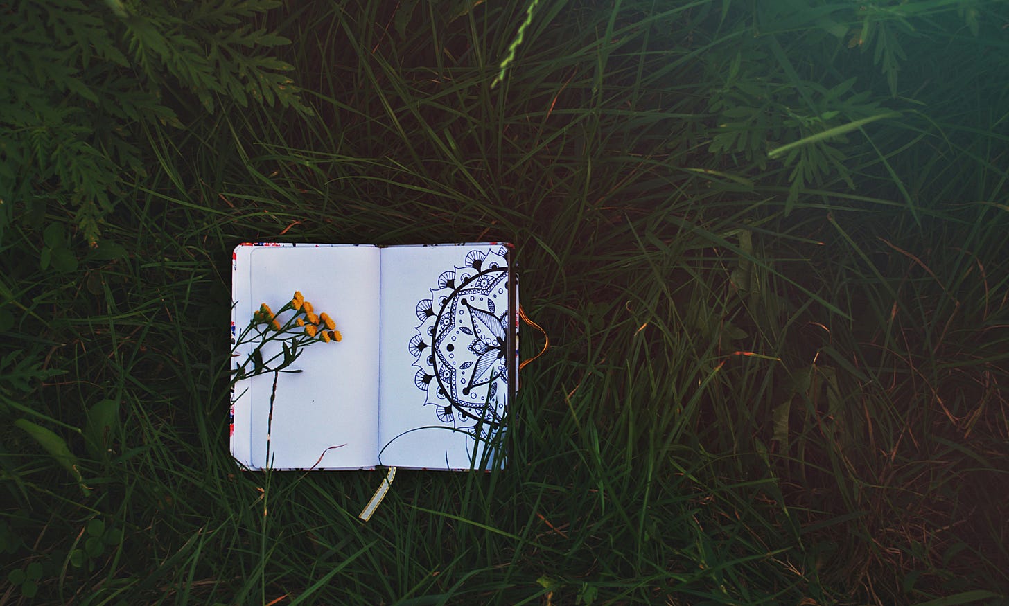 nature and creativity