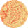 Runner Hyphae