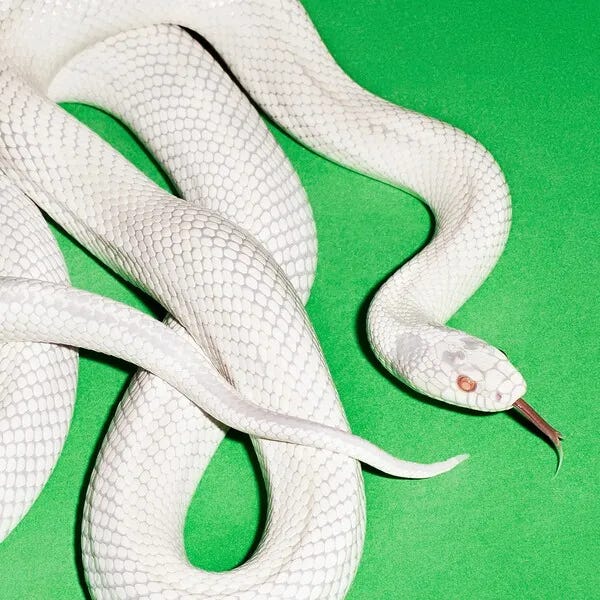 Cover art for private music by Deftones