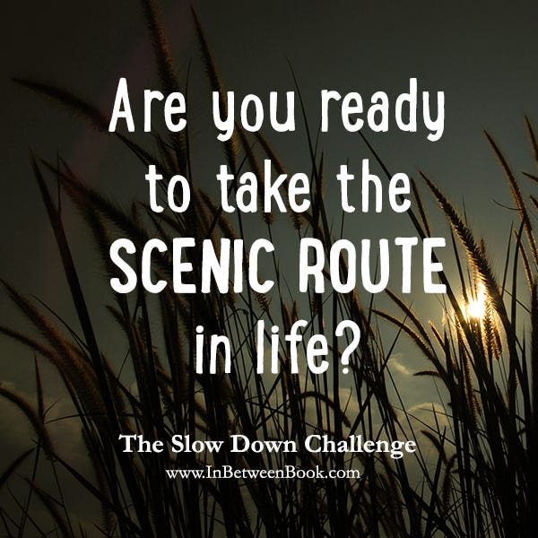 Slow Down Slow Down Challenge