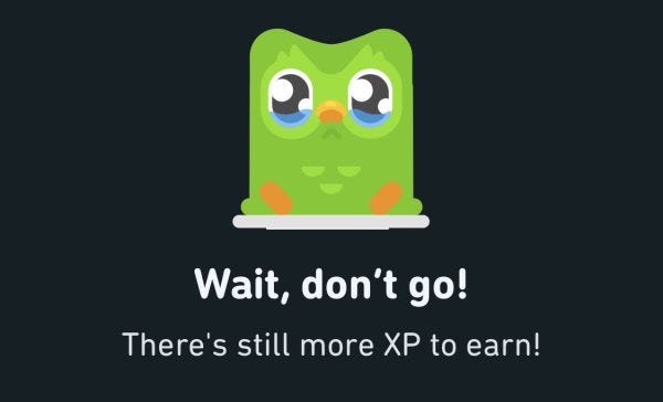 Don't Make the Bird Mad: Duolingo's Brand of Addiction to Language Learning  – The Pomegranate