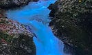 White Water of Dementia and Caregiving 