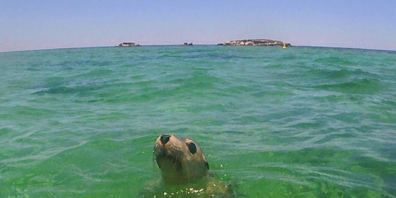 2023.12 - Jurien Bay Islands Kayak - Part 2