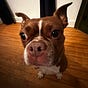 Emma's avatar